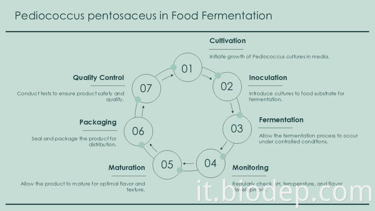 pediococcus pentosaceus9